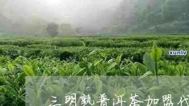 三明普洱茶招商