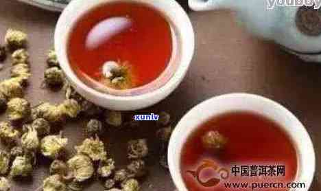 菊花与普洱茶的奇妙组合：解密双重功效及如何搭配饮用以达到效果