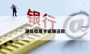 湖北交通信用卡逾期