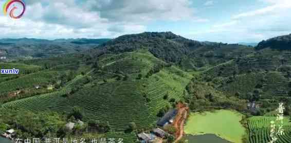 普洱茶源城市传片