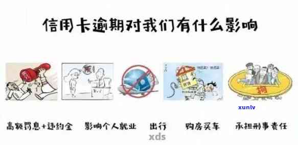 信用卡逾期对信用评分的毁灭性影响：你可能不知道的风险和后果