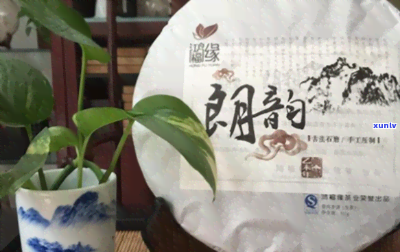 福鸿号普洱茶加盟