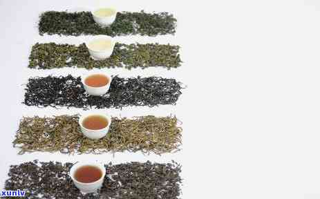 新普洱茶放置片刻后出现浑浊现象的原因及其对茶叶品质的影响