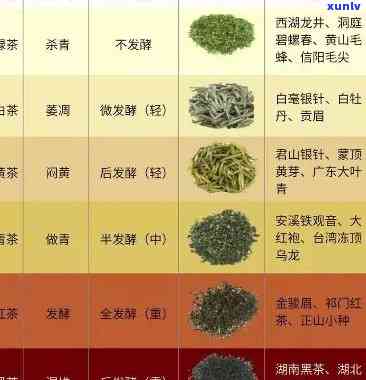 云南普洱茶的各种茶叶类型及其特点分析与分类 *** 