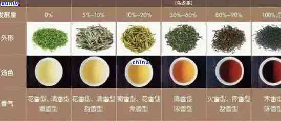 普洱茶：绿茶还是其他类型？探讨普洱茶的分类及其特点