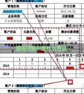 报告中的非循环账户逾期问题详解与解决 *** 