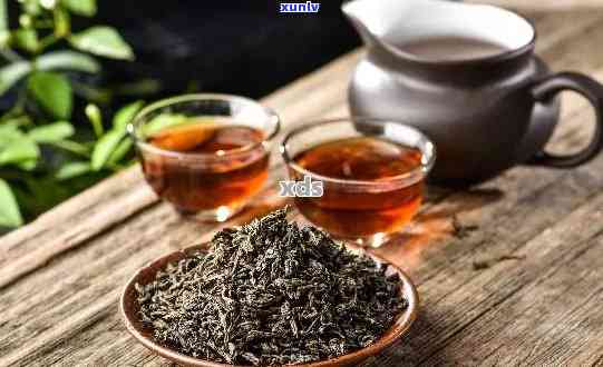 如何选择优质普洱茶？比较各大茶厂的茶叶品质与口感