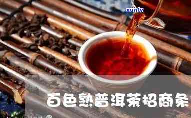 百色普洱茶招商条件