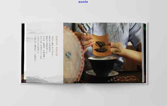 普洱茶饼产品传册：展示、内容、模板