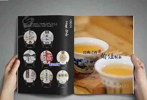 普洱茶饼产品传册：展示、内容、模板