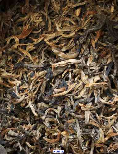 云南凤庆古树优质滇红茶最新批发报价大全，一斤多少钱？