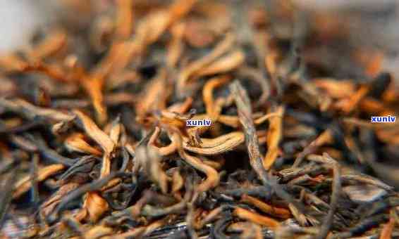滇红大金针茶价格与口感介绍：多少钱一两？是否属于红茶？