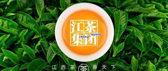 江普洱茶加盟商家