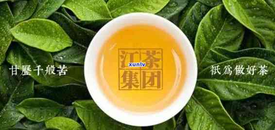 江普洱茶加盟商家