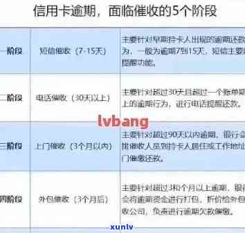 信用卡逾期记录消除策略：信用修复全指南