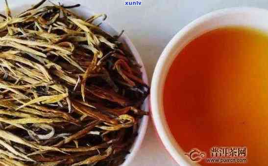 凤庆滇红是红茶吗？凤庆滇红是什么茶？凤庆滇红的特点和种类