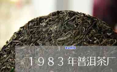 1983年普洱茶厂