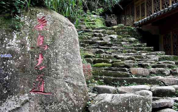 探索茶马古道文化：普洱旅游景区门票价格详解