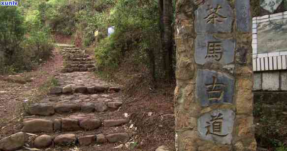 普洱茶马古道旅游攻略：游玩线路、门票价格和游记分享，云南著名景区如何？