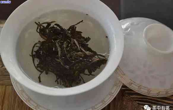 普洱茶的品鉴与冲泡技巧：一篇全面的茶知识指南