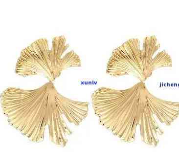 银杏耳钉的寓意、象征与选购指南：了解其文化内涵并选择合适的款式