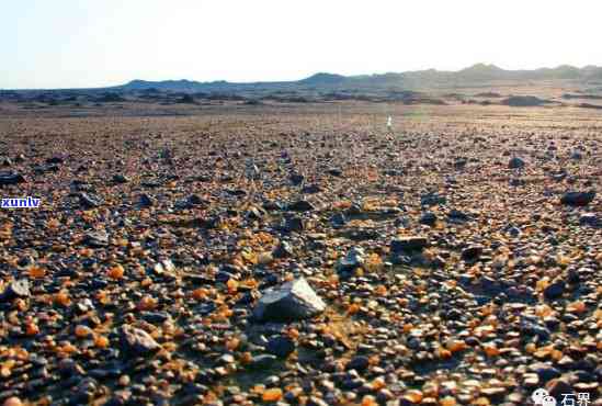 探秘银根玛瑙湖：地理、历史、旅游和生态等全方位解析