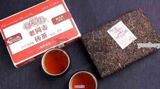 老同志普洱茶：优质礼品茶推荐，品鉴与选购指南