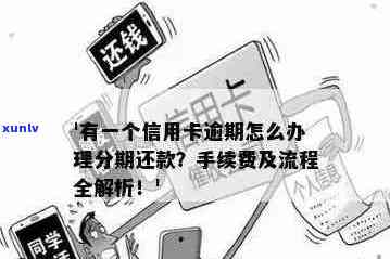 信用卡逾期还款流程全解析：是否需要先抓人再进行还款？