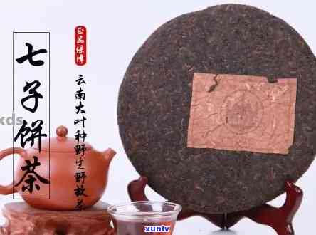 云南七子饼茶老普洱熟茶357克价格：2006、6071与2013年的变动