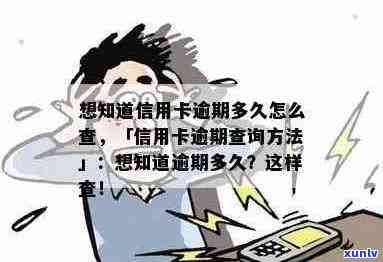 翡翠祖母绿铁龙生长环境要求与适应情况简介