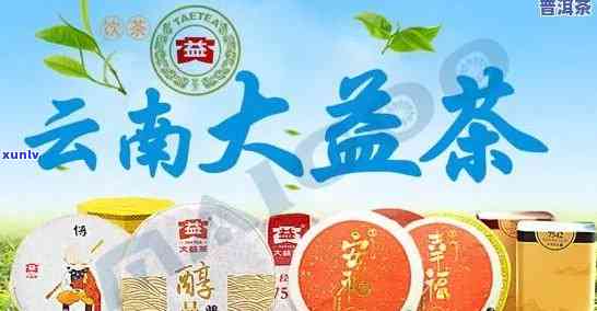 大益普洱茶加盟官网