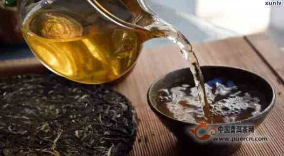 探索普洱茶的魅力：之一炮是否能满足饮用需求？