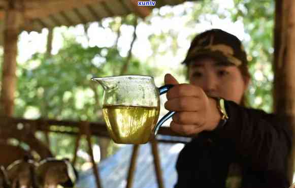 探索普洱茶的魅力：之一炮是否能满足饮用需求？