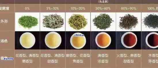 普洱茶的分类解析：究竟是普洱茶还是红茶？
