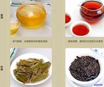 普洱茶的分类解析：究竟是普洱茶还是红茶？