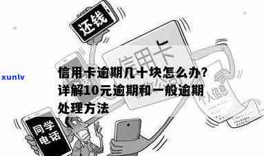 信用卡逾期10块钱：原因、后果与解决方案全面解析