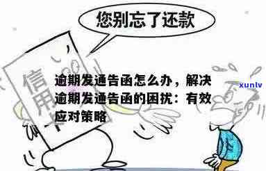 逾期警告函该怎么办：理解含义及有效应对策略