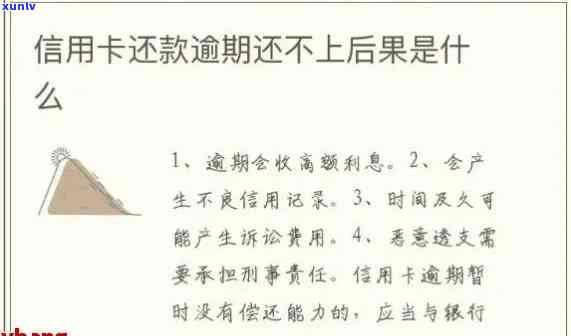 信用卡逾期问题解决：了解为何账单不再自动更新及可行应对策略