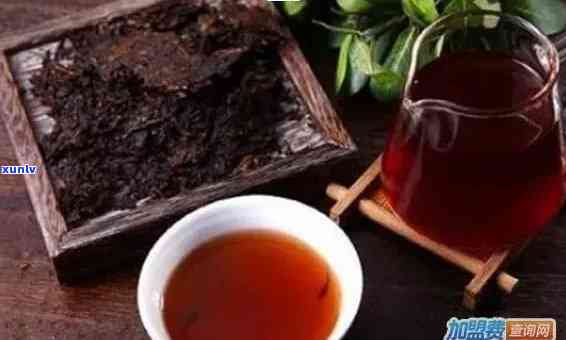 安徽普洱茶加盟商家