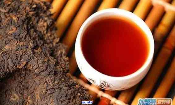 安徽普洱茶加盟商家