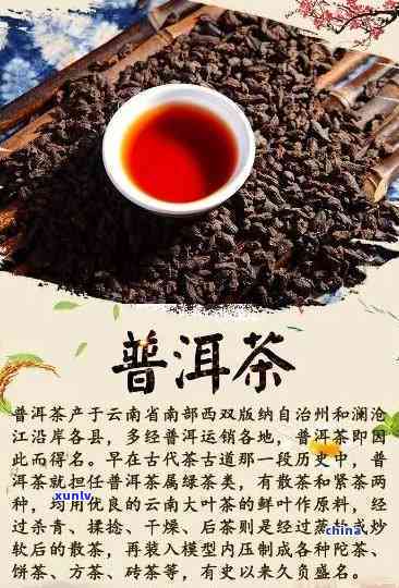 普洱茶的传的目的