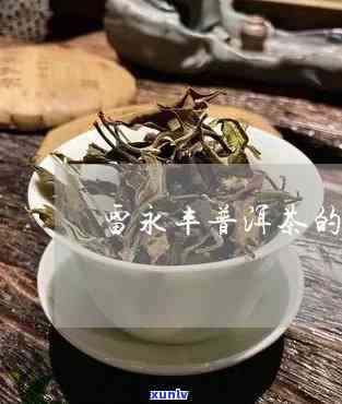 雷永丰茶：源自云南的历普洱茶
