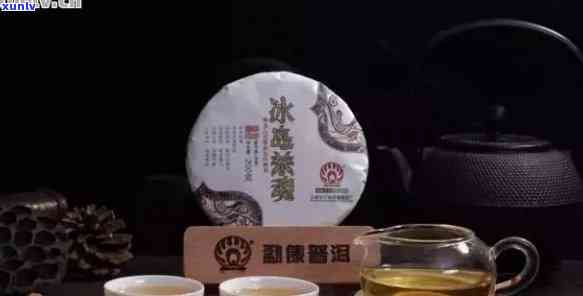 全面解析：普洱茶饼加盟哪家最可靠？投资前需要注意什么？