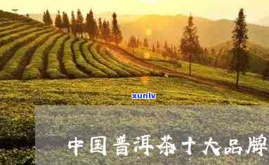 新 中国十大顶级茶叶排行榜 - 高端普洱茶加盟店投资指南