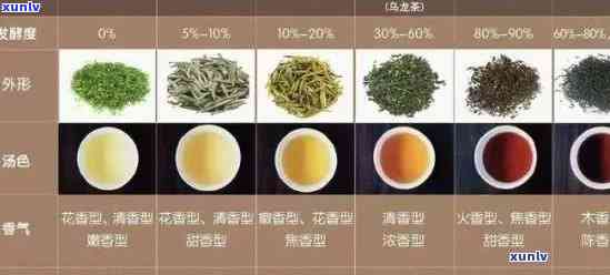 全面了解贵港茶叶：名单、特色与品质分析，助您轻松挑选茶叶
