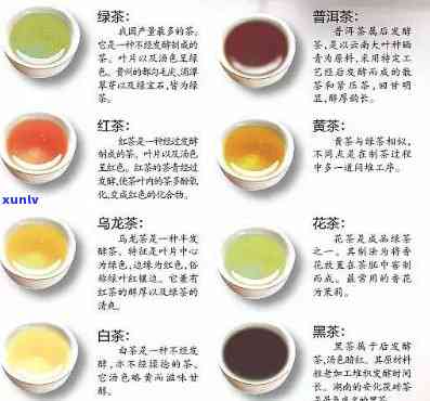 全面了解贵港茶叶：名单、特色与品质分析，助您轻松挑选茶叶