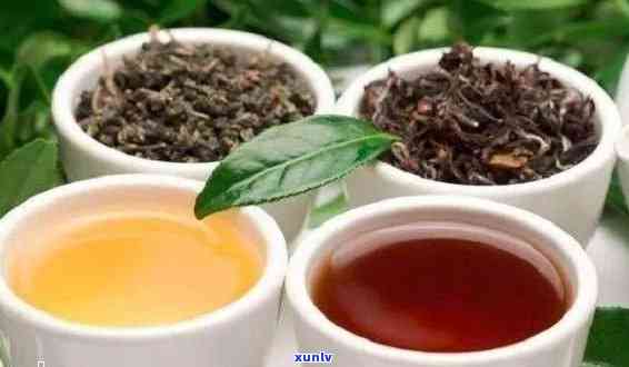 普洱茶：红茶还是其他类型？全面了解普洱茶的种类及其特点