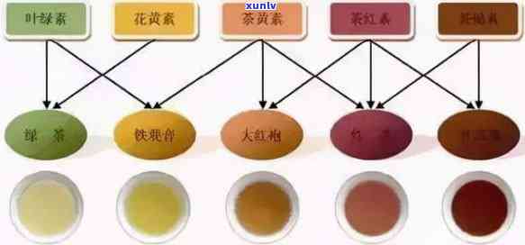 普洱茶红色物质组成解析：深红好还是不好？