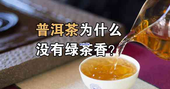 普洱茶是食品吗？为什么？还是？属于茶叶吗？