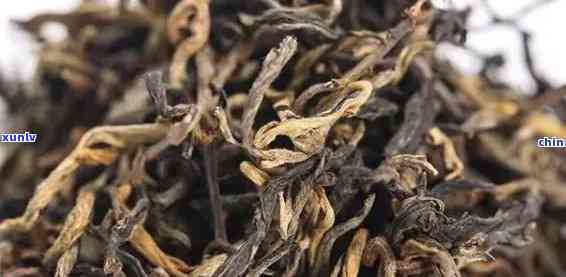 '滇红茶的叶底特征：发黄、形状和质地如何描述？'